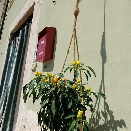 La Casa Dei Ciclisti Homestay Ponti sul Mincio